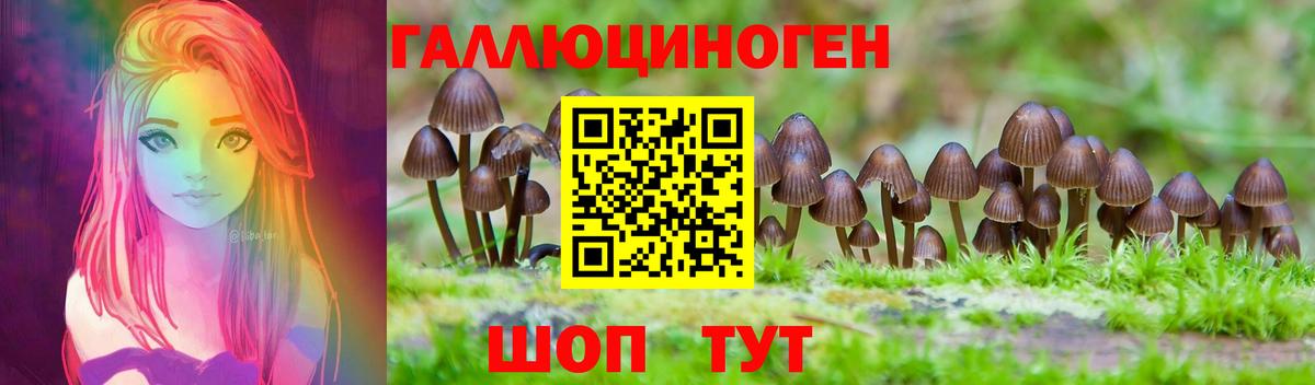 Десногорск  Псилоцибиновые грибы мухоморы  дарнет шоп  Вход с VPN 